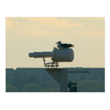 Ihre ganze Basis sind gehören uns Postkarte