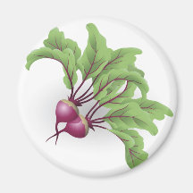 Illustration de betteraves magnets pour réfrigérateur