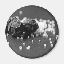 Image de poivre de sel macro dans le studio aimants pour réfrigérateur