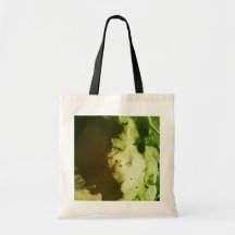Image diverse 9 - (vert de papier psychadelic et b sacs