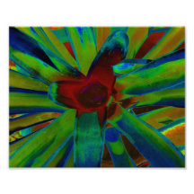 Image rouge vert-bleu d'usine de Bromeliad Photos Sur Toile