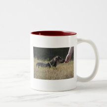 Imbisszeit Kaffeetassen