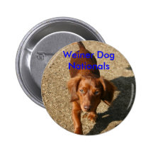 IMG_5816, Weiner Hundeangehörige Buttons