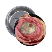 In einem blassen schlafen - rosa Rose, Chinese Sha Button