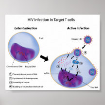 Infection latente et active par l'affiche d'HIV