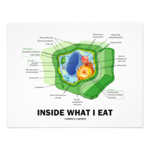 Innerhalb, was ich esse (Pflanzen-Zellen-vegetaris Individuelle Ankündigungen