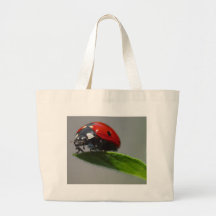 Insectes de coccinelles sac