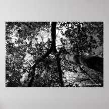 Intersection noire et blanche posters