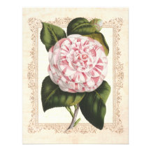 Invitations formelles élégantes de camélia rose