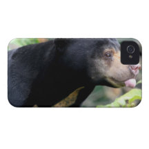 iphone 4 kaum dort QPC Schablone Ca - besonders an iPhone 4 Etuis