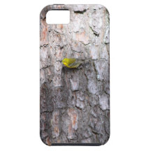 iPhone 5 Fall iPhone 5 Etui