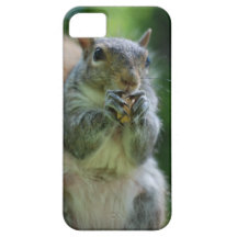 iphone 5 kaum dort qpc Schablonen-IP - besonders a Etui Fürs iPhone 5