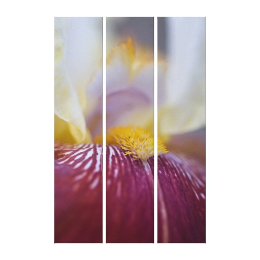 Iris-Leinwand-Druck Gespannte Galeriedrucke