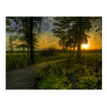 Irwin Grasland-Sonnenuntergang-Postkarte