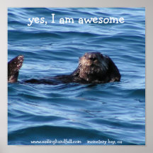 ja bin ich fantastisches Seeotterplakat