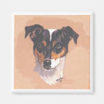 Jack-Russell-Magnet Magnete