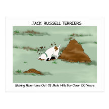 Jack-Russell-Terrier Postkarten