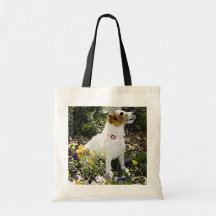 JACK RUSSELL TERRIER SAC