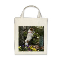 JACK RUSSELL TERRIER SACS FOURRE-TOUT