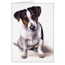 Jack-Russell-Welpe Karten
