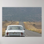 Jaguar im Karoo Posterdruck