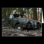 Jaguar S-Artig karten