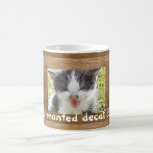 J'ai voulu le chaton pleurant de decaf mug à café