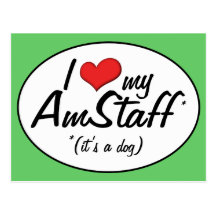 J'aime mon AmStaff (c'est un chien) Cartes Postales