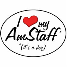 J'aime mon AmStaff (c'est un chien) Photo En Relief