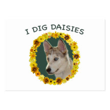 Je creuse le chien d'Ausky de marguerites Cartes De Visite Professionnelles