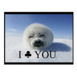 Je vous matraque (amour/jour de valentine) cartes postales