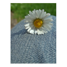 Jeans Blume Postkarte