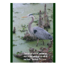 Jeremias-29:13 Schrifts-Postkarte