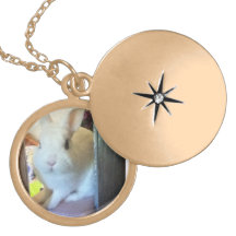 Jetez un coup d'oeil un lapin de huer bijouterie fantaisie