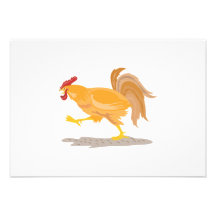 Jeune coq de coq rétro bristol
