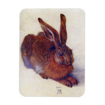 Jeunes lièvres par Albrecht Durer, art de Renaissa Magnets Souples