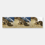 Joint de fourrure adhésifs pour voiture