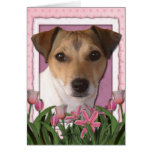 Jour de mères - tulipes roses - Jack Russell Carte