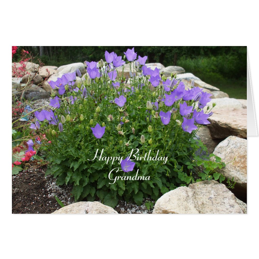 carte invitation d anniversaire gratuite à imprimer pour fille decoration anniversaire a imprimer gratuit