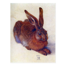 Junge Hasen durch Albrecht Durer, Renaissance-Kuns Postkarten