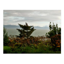 Kachemak Bucht Postkarte