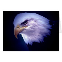 Kahler Amerikaner Eagle Grußkarten