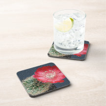 KAKTUS-BLUME DRINK UNTERSETZER