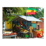 Kalfaterer des Rasta Veggie-Stand-n Caye, Belize-P