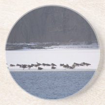 Kanadische Gänse auf Eis Getränke Untersetzer