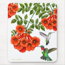 Karminrote Throated Kolibris auf Trompete-Rebe Mousepad