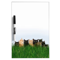 Kätzchen im Gras memoboards