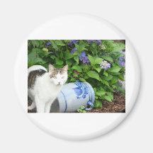 Katze im Garten Kühlschrankmagnete