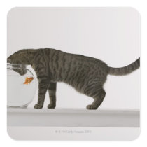 Katze und Goldfisch Quadratsticker