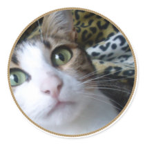Katzen-grüne Augen - runder Aufkleber